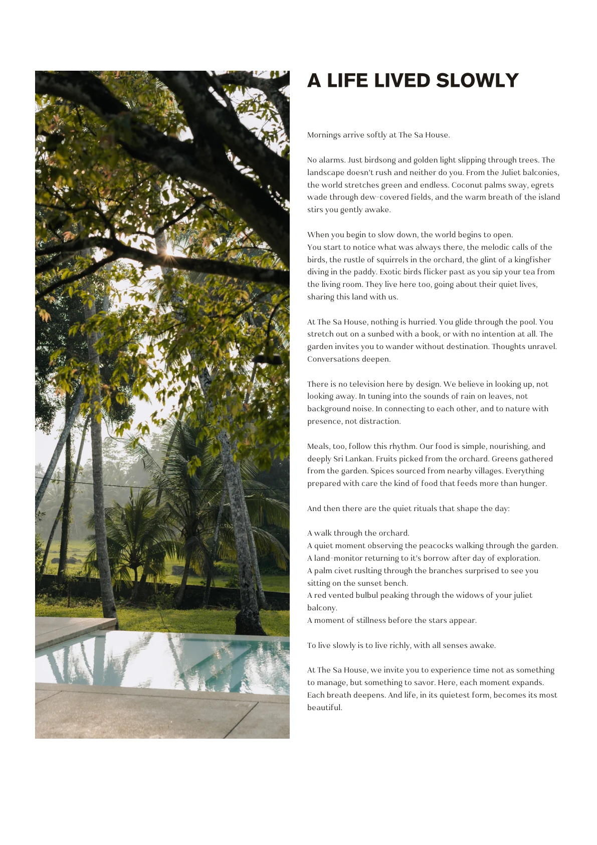 A LIFE LIVED SLOWLY Mornings arrive softly at The Sa House. No alarms. Just birdsong and golden light slipping through trees. The landscape doesn’t rush and neither do you. From the Juliet balconies, the world stretches green and endless. Coconut palms sway, egrets wade through dew-covered fields, and the warm breath of the island stirs you gently awake. When you begin to slow down, the world begins to open. You start to notice what was always there, the melodic calls of the birds, the rustle of squirrels in the orchard, the glint of a kingfisher diving in the paddy. Exotic birds flicker past as you sip your tea from the living room. They live here too, going about their quiet lives, sharing this land with us. At The Sa House, nothing is hurried. You glide through the pool. You stretch out on a sunbed with a book, or with no intention at all. The garden invites you to wander without destination. Thoughts unravel. Conversations deepen. There is no television here by design.